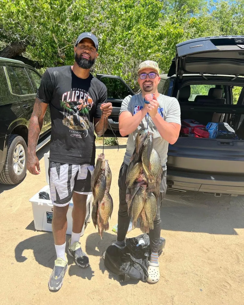 现通常能够 现通常能够