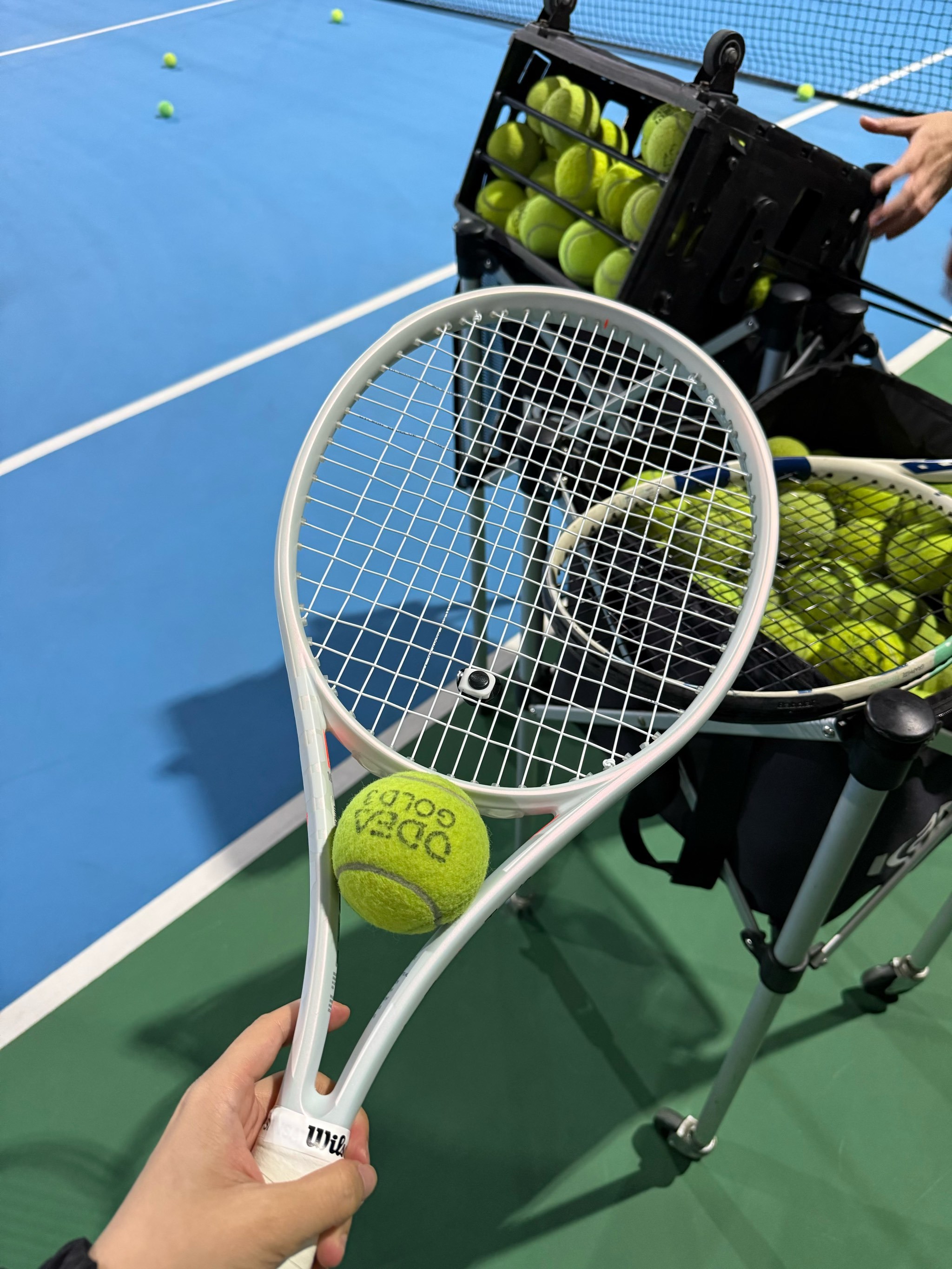 广东队在本 广东队在本